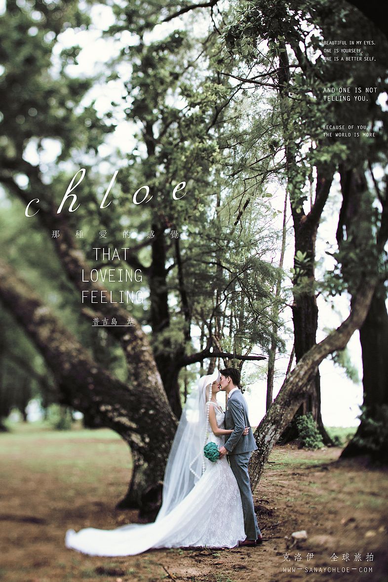 That  loveing  feeling