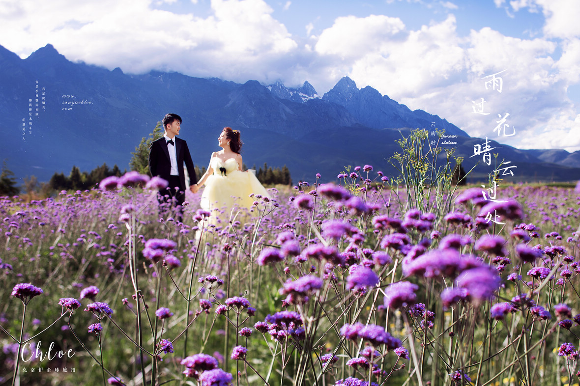 【揭秘克洛伊美學(xué)】九十三 真實客戶揭秘麗江夏季花海婚紗照